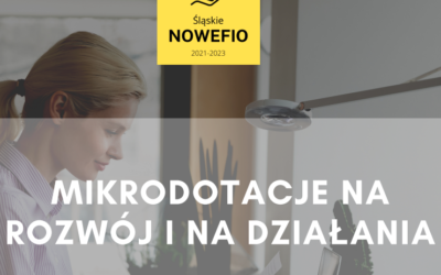 „Jak prawidłowo przygotować wniosek do programu Śląskie NOWEFIO”. Webinar