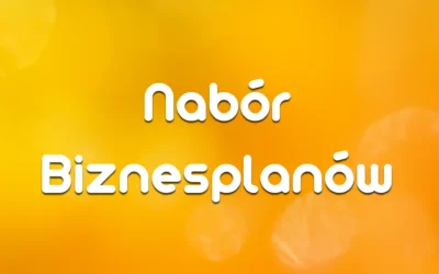 Ogłoszenie o&nbsp;naborze Wniosków o&nbsp;przyznanie środków finansowych – biznesplan